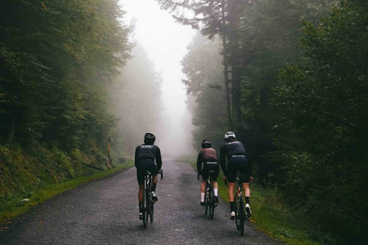 Three road cyclists riding into fog on a forest road